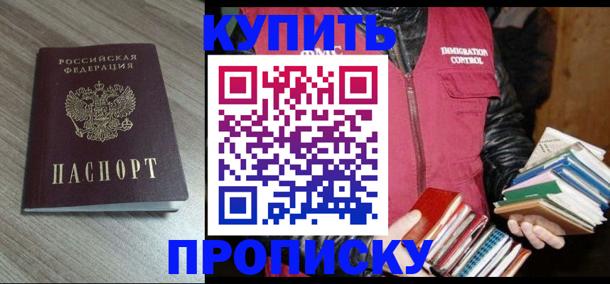 прописка регистрация в Камышине