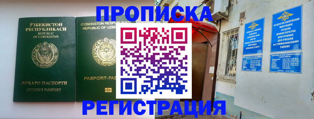 где прописаться в Камышине